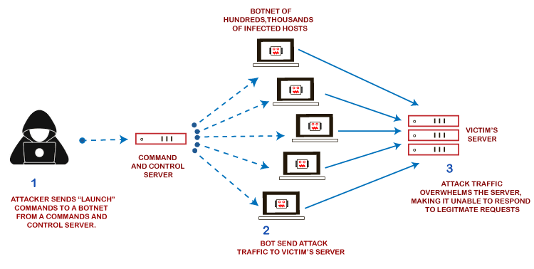  Distributed Denial-of-Service Attack.