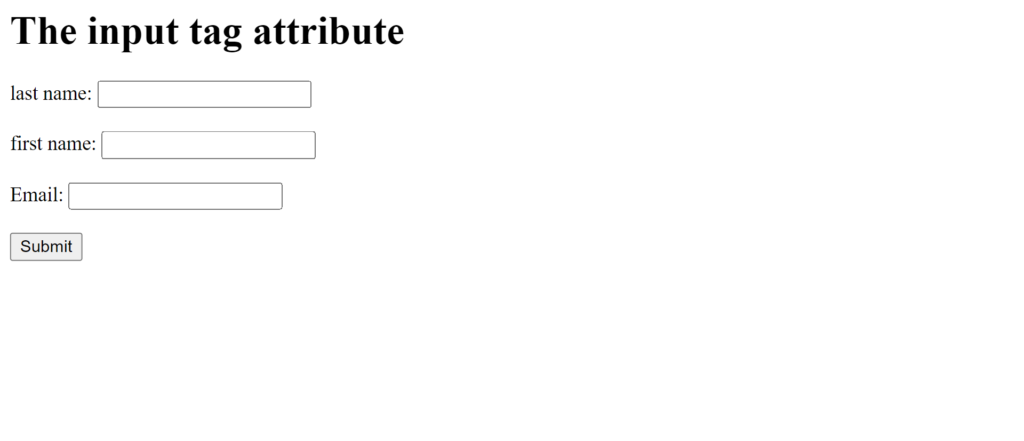 the input tag attribute example
