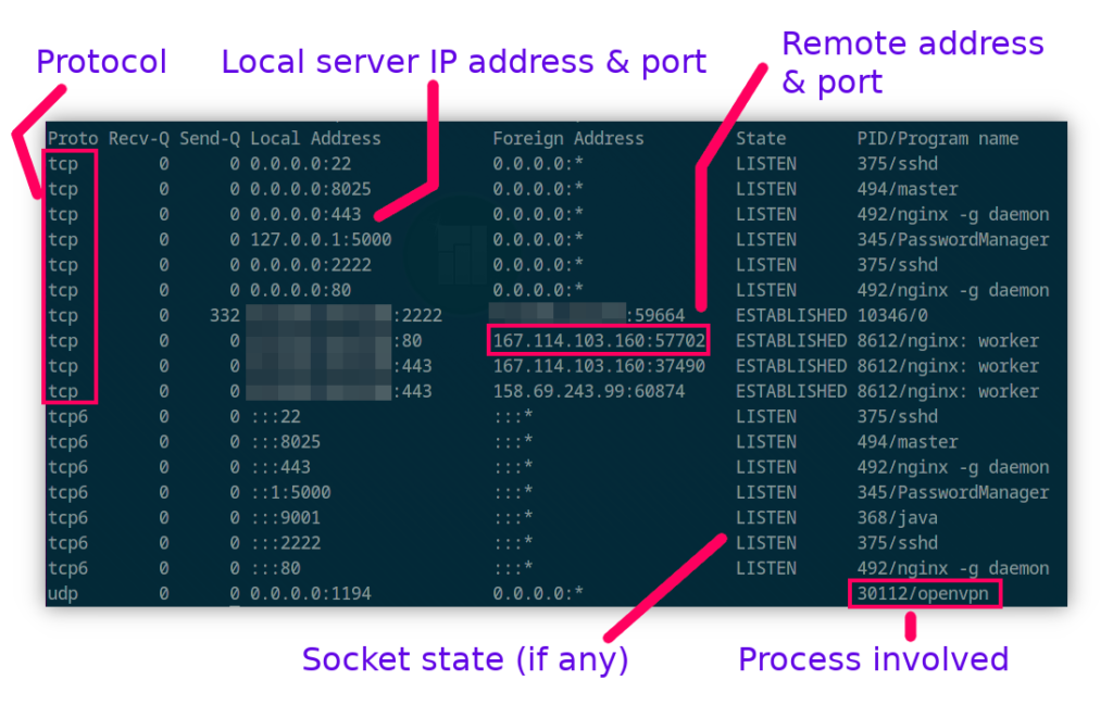 Netstat output