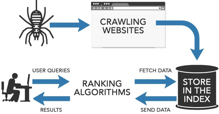 Search engine Process